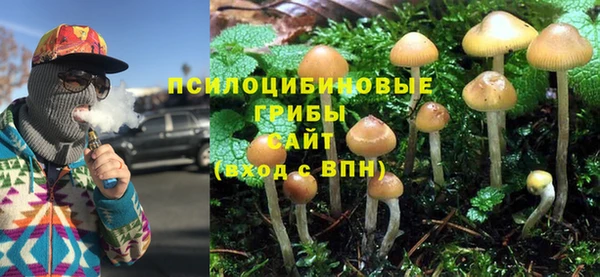 дмт Медвежьегорск