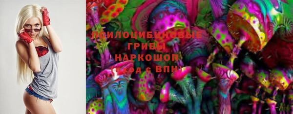 дмт Медвежьегорск